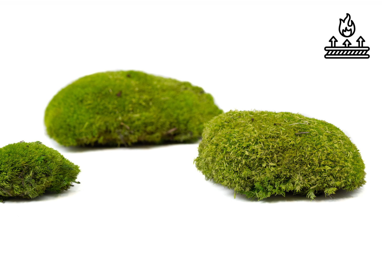 fire-retardant-preserved-pole-moss-5-cn