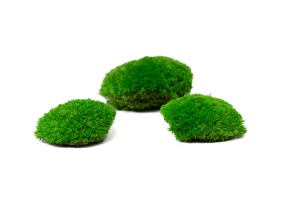 flammhemmend-stabilisiertes-kugelmoos-5-b.