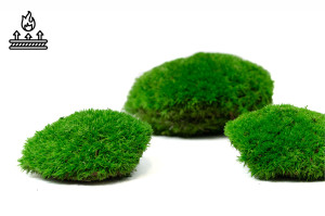 fire-retardant-preserved-pole-moss-5-b.