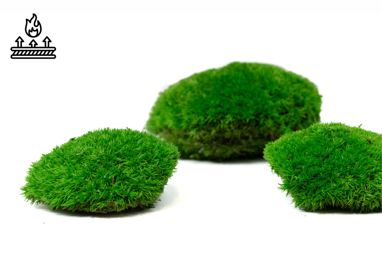 fire-retardant-preserved-pole-moss-5-b