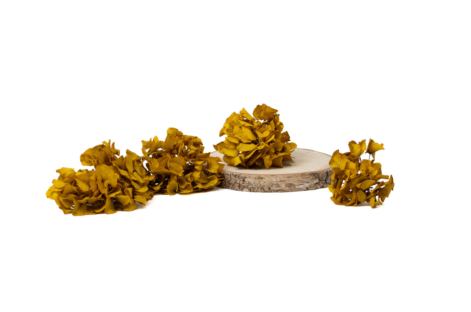 preserved-sprig-hydrangea-14