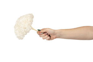 stabilisierte-kiara-hortensien-o-14-20-cm-37.