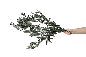 preserved-provencal-olive-with-flower-buds-6.