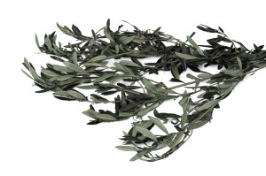 preserved-provencal-olive-with-flower-buds-6.