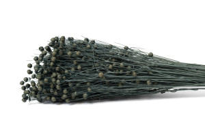 dried-flax-12.