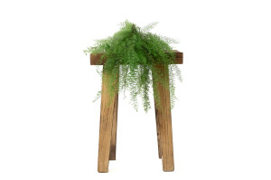 stabilisierter-xl-air-fern-18.