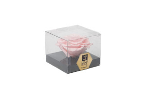 preserved-rose-heads-1-head-36.