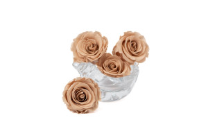 preserved-kiara-rose-heads-l-37.