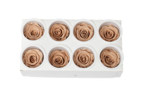 tetes-de-roses-kiara-stabilisees-l-37.