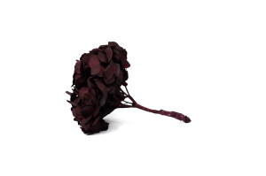 preserved-kiara-hydrangea-o-10-14-cm-37.