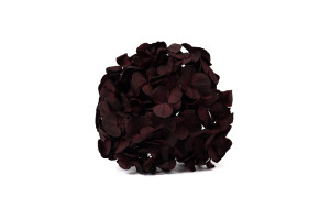 hortensia-kiara-stabilise-o-10-14-cm-37.