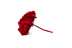 preserved-kiara-hydrangea-o-10-14-cm-37.