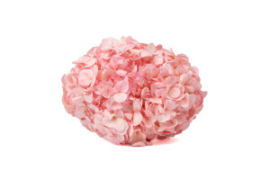 preserved-kiara-hydrangea-o-14-20-cm-37.