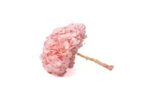 preserved-kiara-hydrangea-o-14-20-cm-37.
