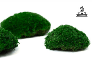 fire-retardant-preserved-pole-moss-5-b