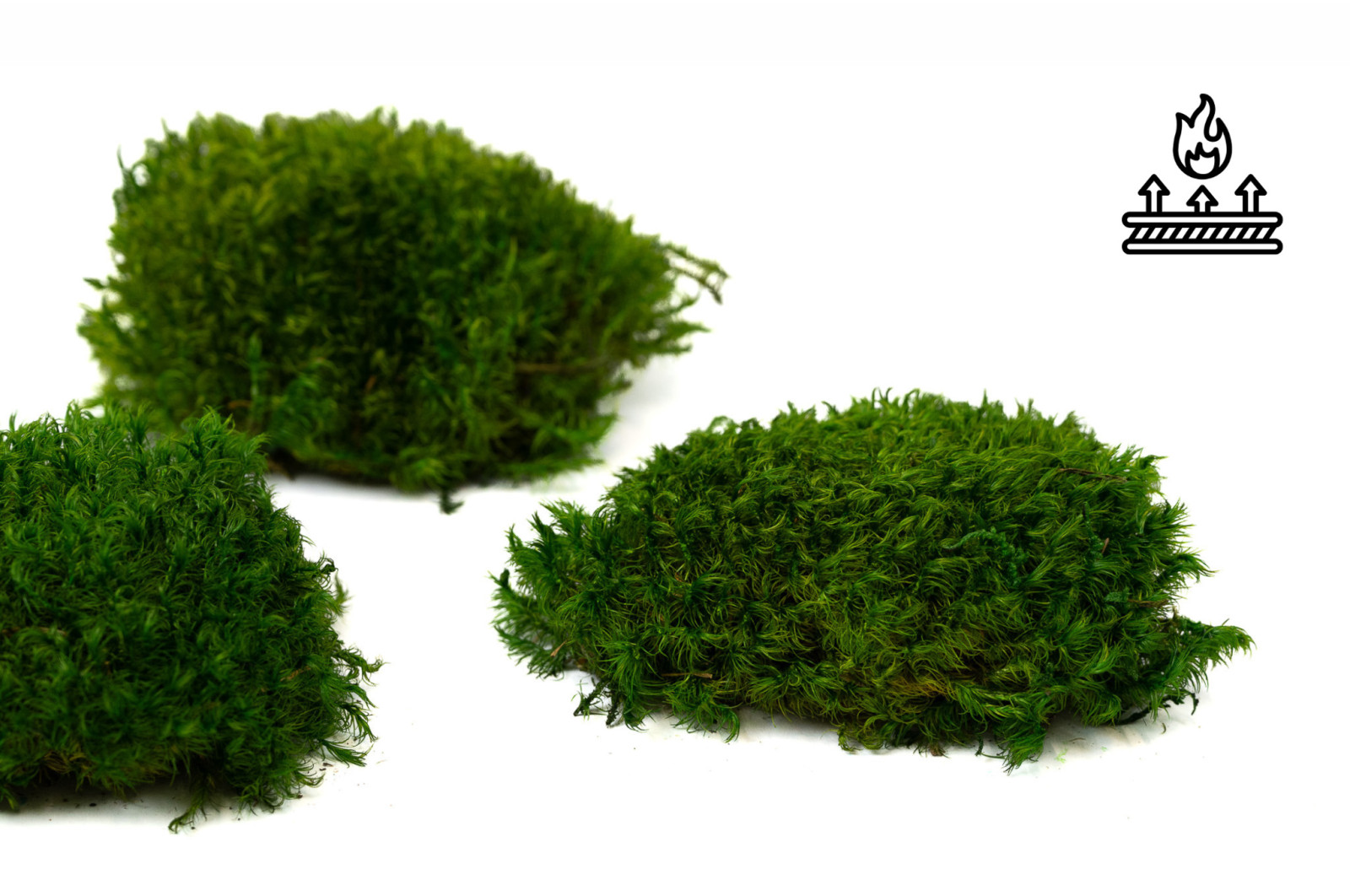 fire-retardant-preserved-provence-moss-5-cn