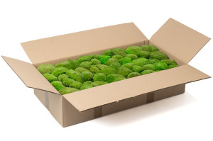 mousse-boule-stabilisee-5-cn.