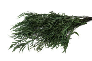 eucalyptus-nicoly-stabilise-6.