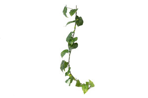 pothos-large-artificiel-guirlande-41.