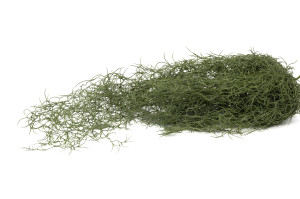 tillandsia-xl-artificiel-chute-41