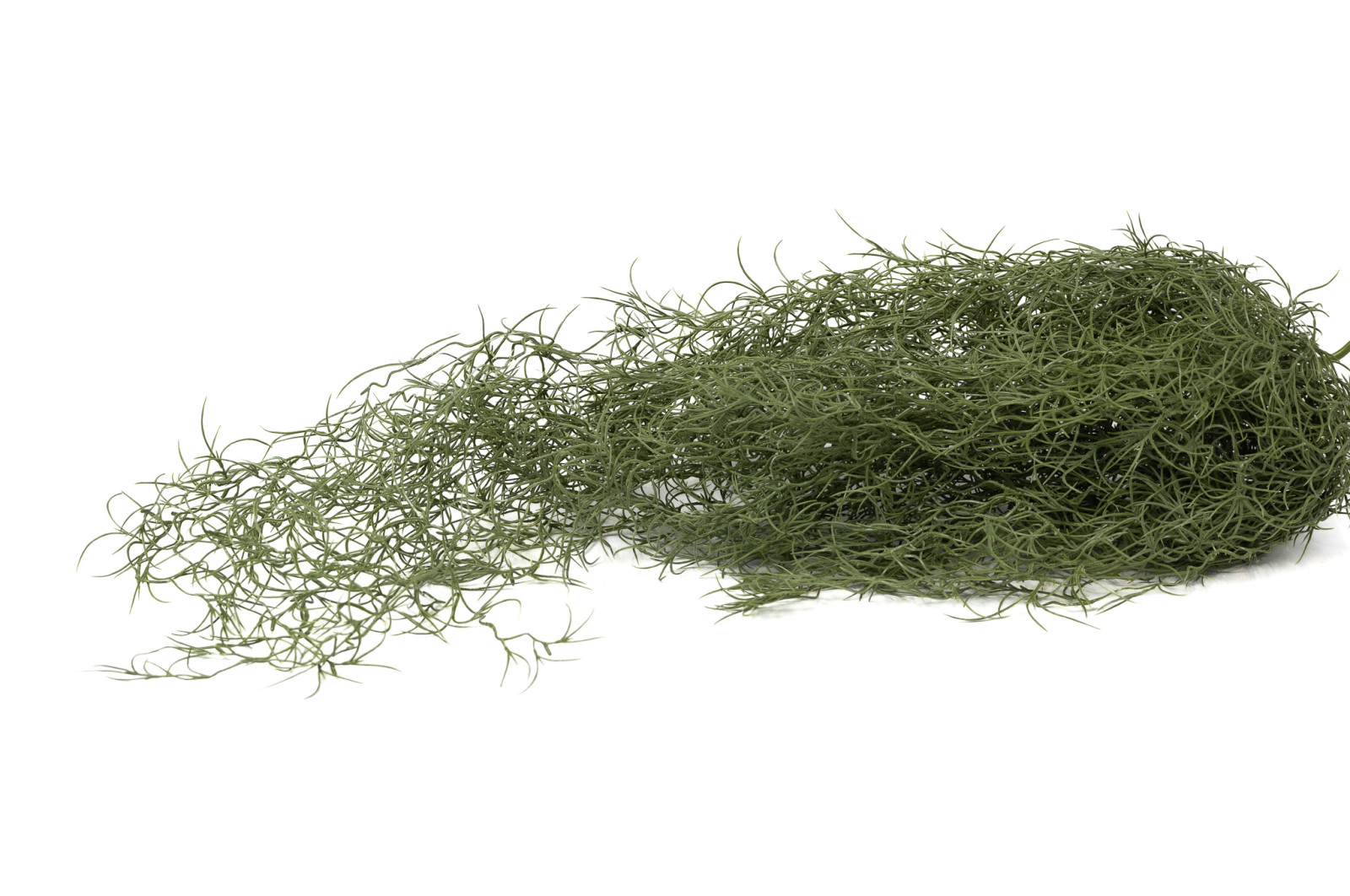 tillandsia-xl-artificiel-chute-41