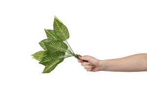 aphelandra-artificiel-piquet-41.