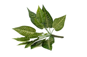 artificial-aphelandra-pick-41