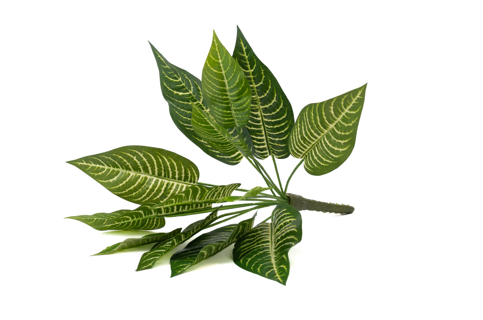 kuenstliche-aphelandra-stecker-41