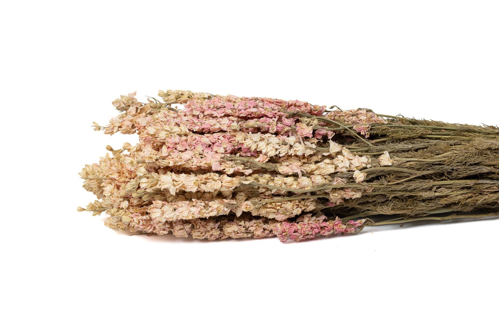 dried-delphinium-8