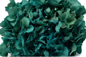 preserved-hydrangea-14.