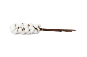 dried-cotton-branches-19.