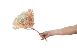 stabilisierte-hortensien-anna-19.