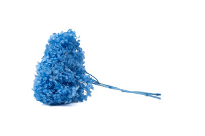 hortensia-stabilise-anna-19.