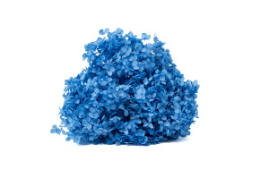 preserved-hydrangea-anna-19.