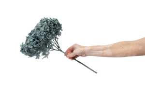 stabilisierte-hortensien-anna-19.