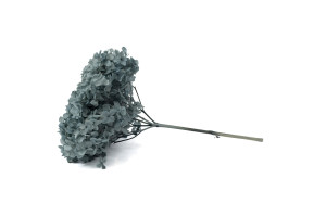 stabilisierte-hortensien-anna-19.