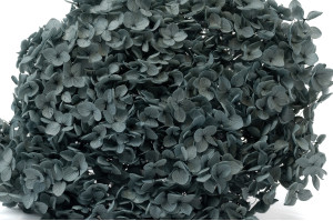 stabilisierte-hortensien-anna-19.