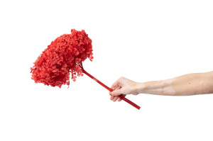 hortensia-stabilise-anna-19.