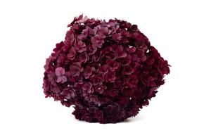 preserved-double-petal-hydrangea-19.