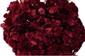 hortensia-double-petale-stabilise-19