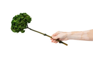 hortensia-double-petale-stabilise-19.