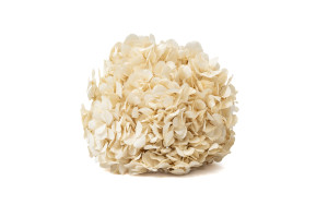 preserved-hydrangea-14.