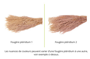 stabilisierte-pteridium-farn-8.