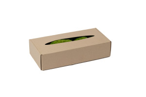 preserved-pole-moss-5.