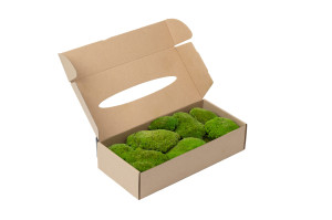 preserved-pole-moss-5.