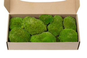 stabilisiertes-kugelmoos-5.