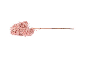 stabilisierte-hortensien-peegee-30.