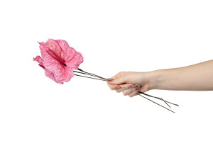 preserved-anthurium-30.