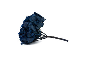 preserved-hydrangea-14.