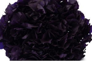preserved-hydrangea-14.